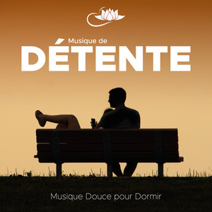 Musique de Détente: Musique Douce pour Dormir