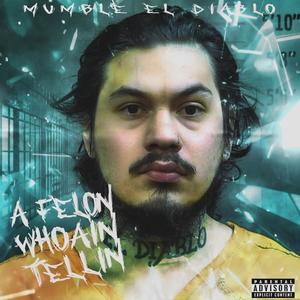 A Felon Who Ain Tellin (Explicit)