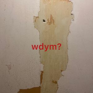 wdym?