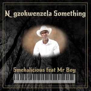 Ngzokwenzela Something (feat. Mr Boy)