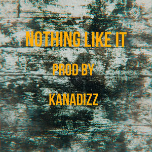 Nothing Like It (Explicit)