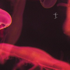 Smash the System (Original Mix)