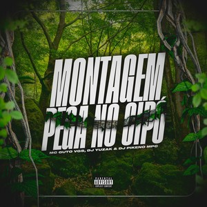 Montagem Pega no Cipo (Explicit)