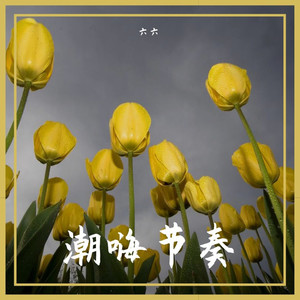 潮嗨节奏