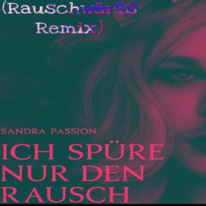 Ich spüre nur den Rausch (Rauschwärts Remix)
