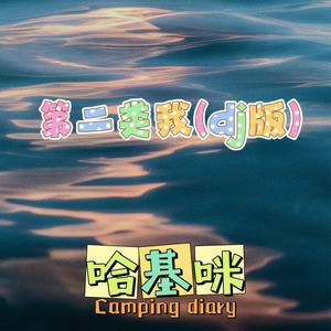 第二类我 (DJ版)