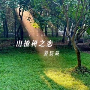 柳如烟进行曲-姜辰辰