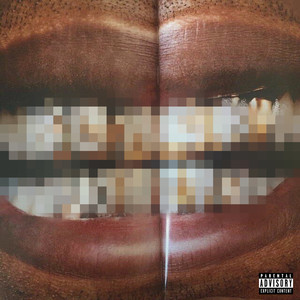 Flippin $hit* (Explicit)