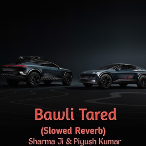 Bawli Tared (Slowed|Reverb)