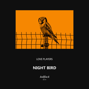 Night Bird