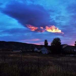 PLC4S (PROD.DEPRESSION)