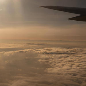 Searching (feat. Delifire)