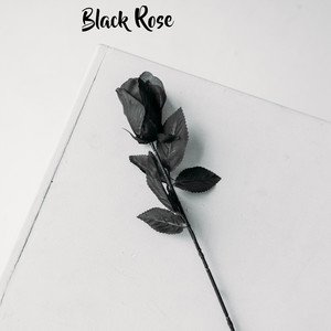 Black Rose