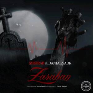 Zaraban (feat. Daniyal Sadr)