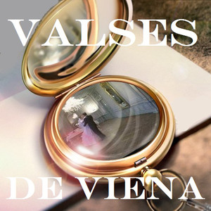 Valses De Vienne vol.1