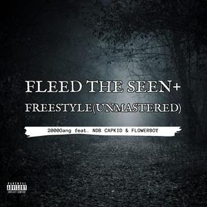 FLEED THE SEEN + FREESTYLE (feat. NDB CapKid & FlowerBoy) [UNMASTERED] [Explicit]