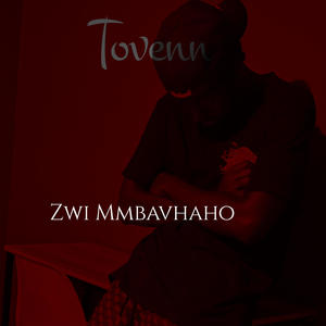 Zwi Mmbavhaho (Explicit)