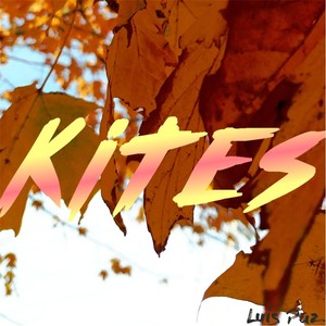 Kites