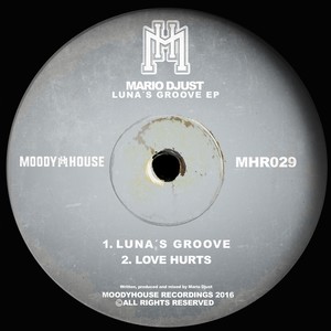 Luna's Groove (Original Mix)