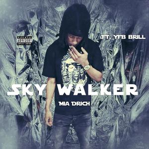 Sky Walker (feat. YFB.Brill) [Explicit]