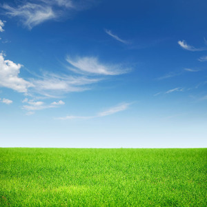 结束 (女和声版)