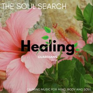Healing Realms