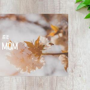 MOM (抒情男生版|翻自 蓝心羽)