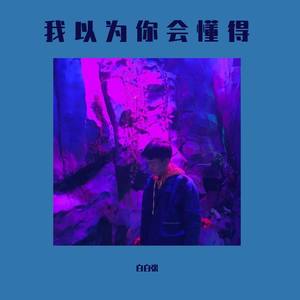 白白张-我以为你会懂得 伴奏