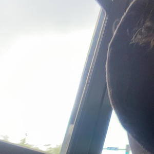 STAT3MENT (Explicit)