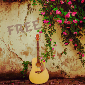 FREE