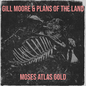 Gill Moore & Plans of the Land