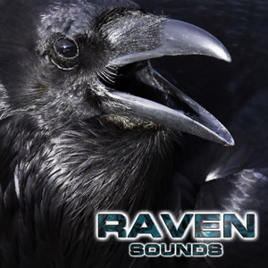 Raven Sounds (feat. National Geographic Nature Sounds, National Geographic Soundscapes, White Noise Ambience, Soothing Sounds & Relaxing Nature Sound)