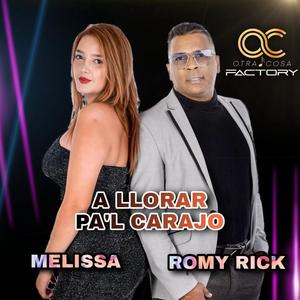 A Llorar Pal Carajo (feat. Melissa La Reina De La Noche)