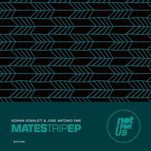 Trip (Original Mix)