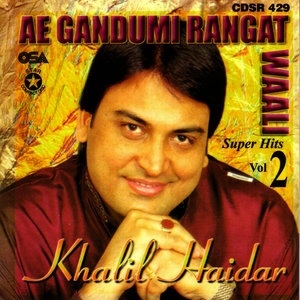 Ae Gandumi Rangat Waali - Super Hits Vol 2