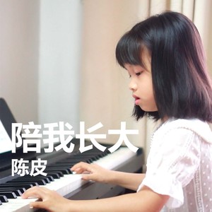 不一样的公主日记