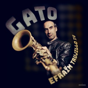 Gato