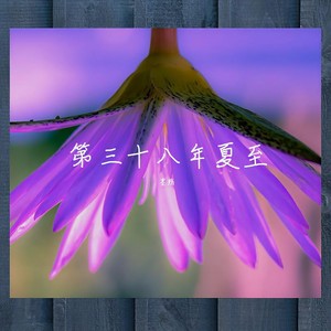 第三十八年夏至 (翻自 河图)