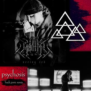 Psychosis (Huck.Jorris Remix|Explicit)