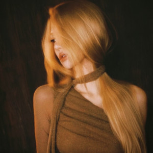 用情（梦境里的算法)