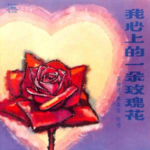 吴雁泽 - 飞呀飞