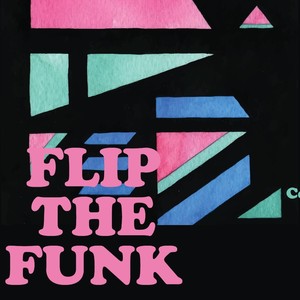 Flip the Funk