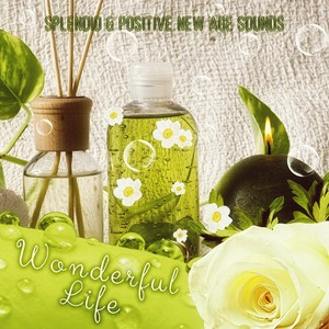 Wonderful Life - Splendid and Positive New Age Sounds, Enjoy Life and Be Happy, Relaxing Music and Nature Sounds for Deep Mediatation and Relaxation