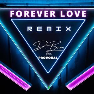 Forever Love (feat. Provokal) [Remix]