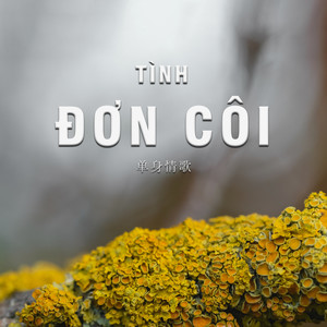 Tình đơn côi