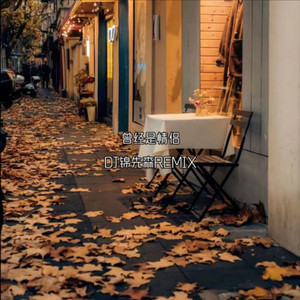 横冲直撞心甘情愿 (Dj锦先森 remix)