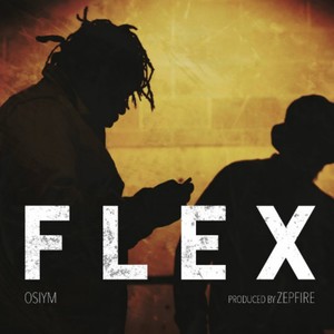 Flex (Explicit)