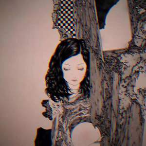 宋冬野-董小姐 (hp黑雀 remix)