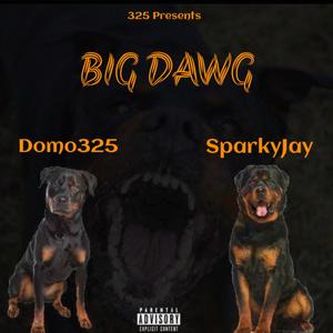 Big Dawg (Explicit)