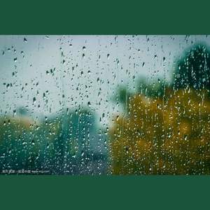 大雨落(Prod.ZeekyBeats)